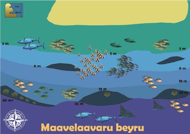 Maavelaavaru Beyru